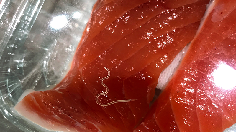 Informações corretas evitam erros no tratamento de doenças comuns.