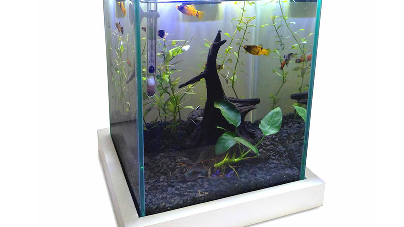 Equipamentos adequados reduzem riscos e facilitam a manutenção do aquário pequeno.