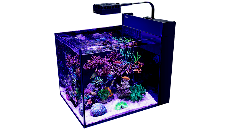 A ciclagem é uma etapa essencial para manter o equilíbrio biológico.