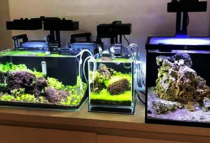 A disciplina na rotina de cuidados aumenta as chances de sucesso.