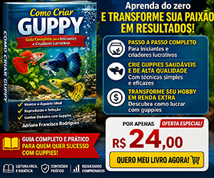 Anúncio