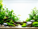 Aquário decorado com diversas plantas aquáticas resistentes e fáceis de cultivar.
